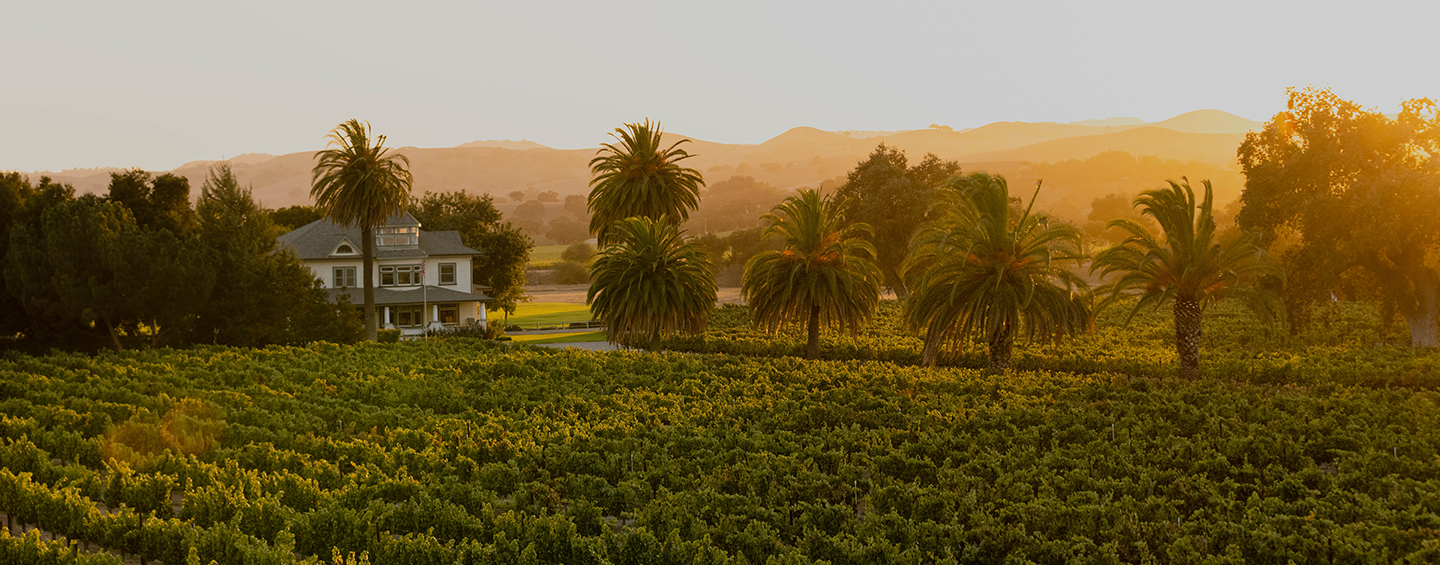 Firestone A CALIFORNIA ORIGINAL SINCE 1972