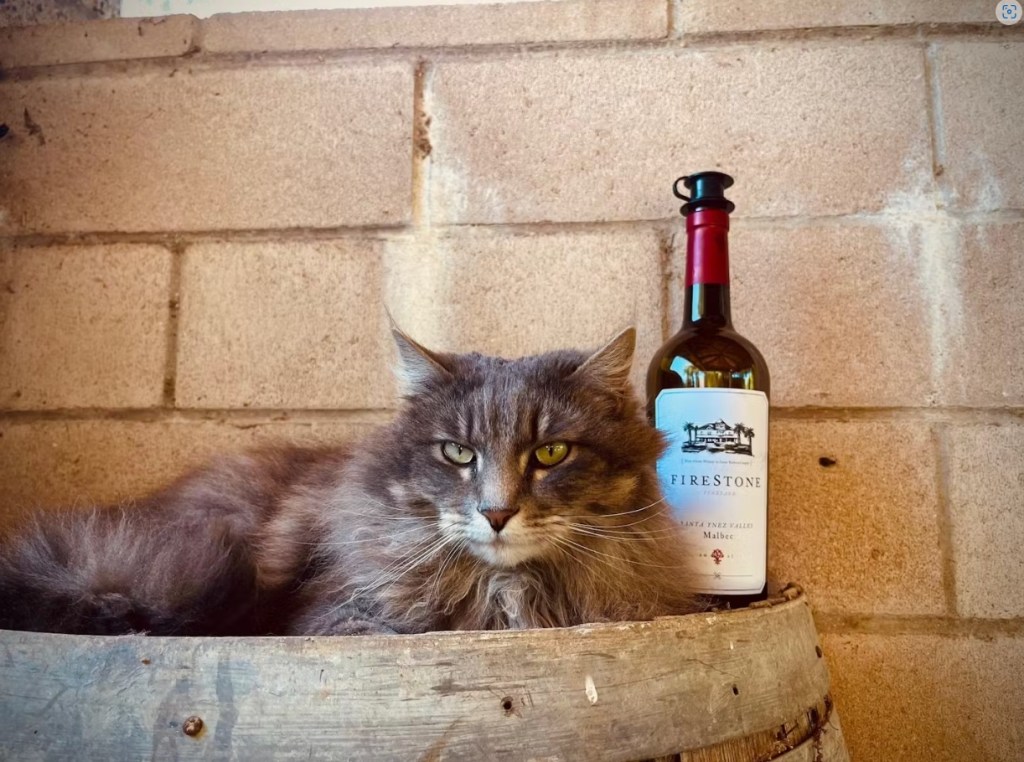 Firestone Malbec Day Tock Image